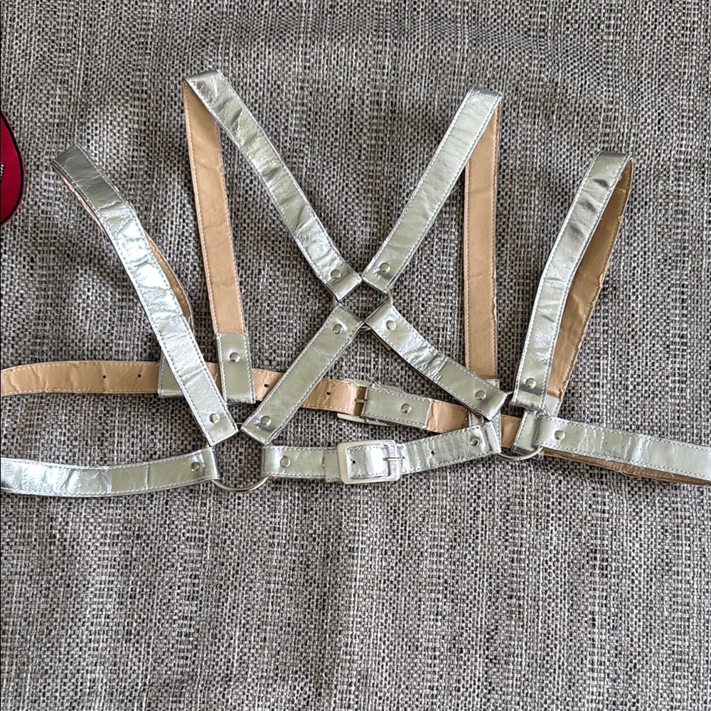 RARE Silver Deandri Over Bust Harness
